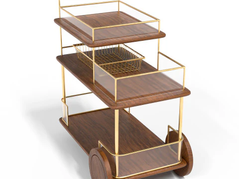 Modern luxe bar cart with gold frame and wooden shelves 3D Model