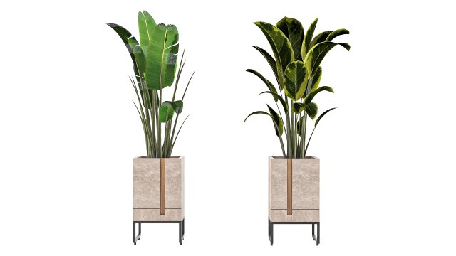 Outdoor Plant 01 Modello 3D .c4d .max .obj .3ds .fbx .stl .blend 