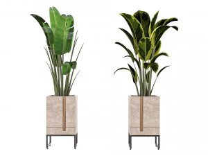 Roślina zewnętrzna 01 Model 3D