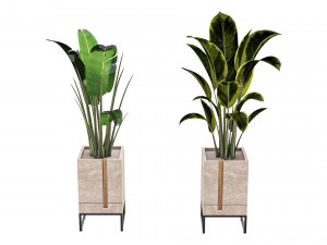 Outdoor Plant 01 Modello 3D