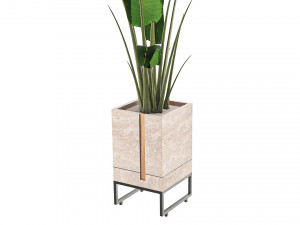 Outdoor Plant 01 Modello 3D