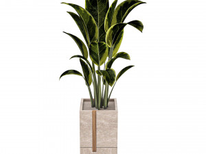 Outdoor Plant 01 Modello 3D
