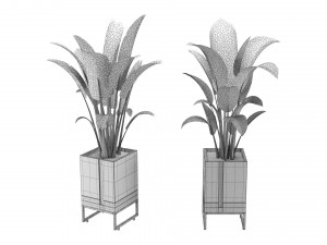 Outdoor Plant 01 Modello 3D