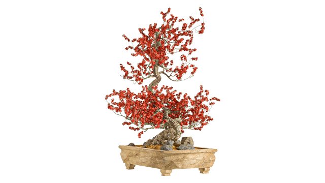 Bonsai Plant 3D मॉडल .c4d .max .obj .3ds .fbx .stl .blend 