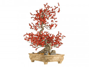 Bonsai Plant 3D Model