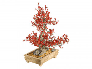 Bonsai Plant 3D मॉडल