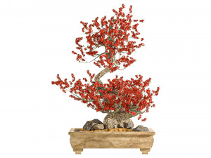 Bonsai Plant 3D मॉडल