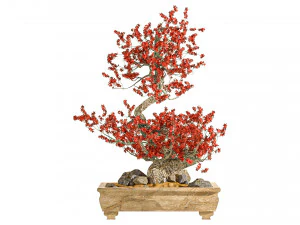 Bonzai Bitkisi 3D Model