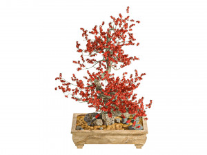 Bonsai Plant 3D मॉडल