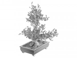 Bonsai Plant 3D मॉडल