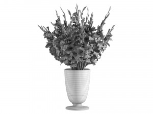 Gladiolus 3D Model