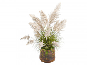 White Pampas Grass Model 3D