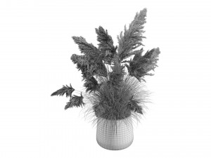 White Pampas Grass Model 3D