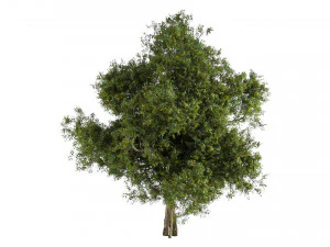 ツリー01 3Dモデル