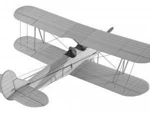 Polikarpov Modello 3D