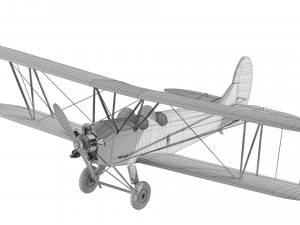 Polikarpov Modello 3D