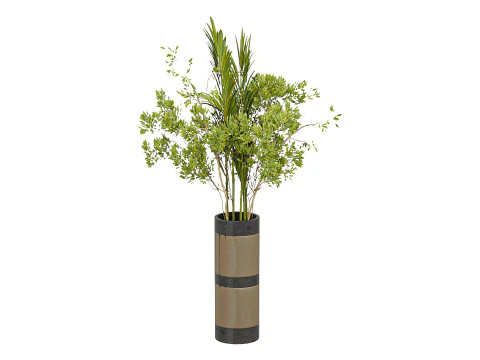 花束套装001 3D 模型