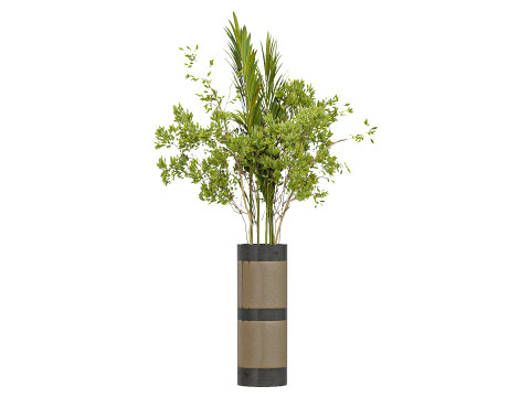 Bouquet Set 001 3D Модель
