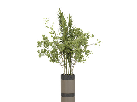 Bouquet Set 001 3D Модель
