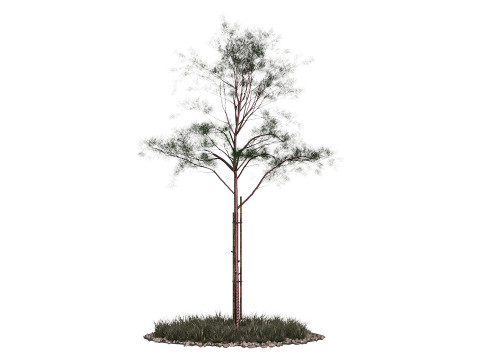 Young Trees 3D मॉडल