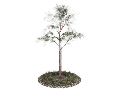 Jeunes arbres Modèle 3D
