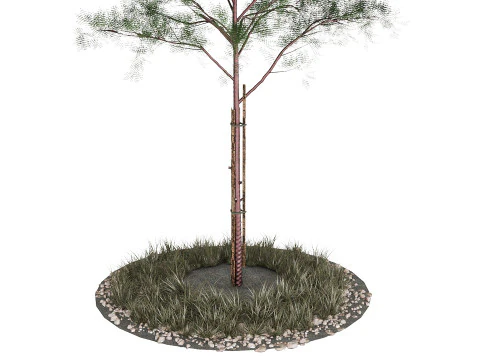 Young Trees 3D Model