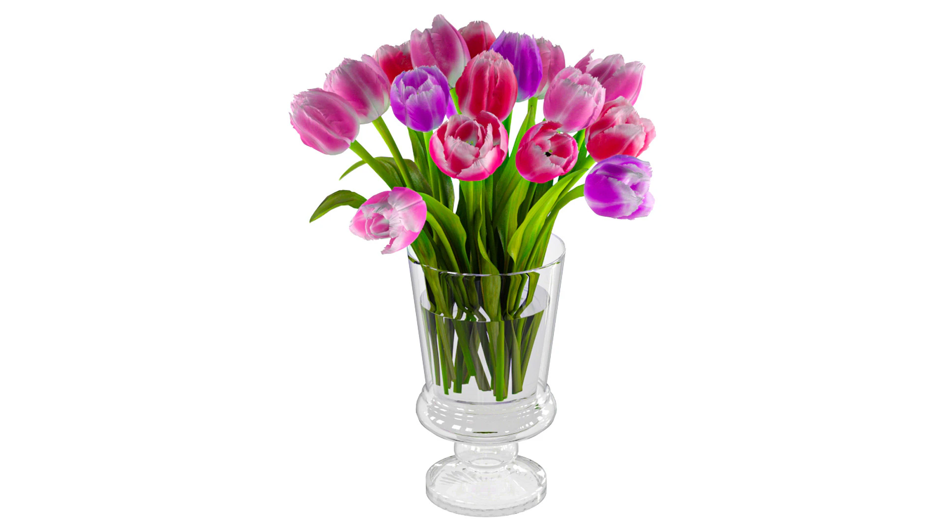 Tulips Vaze 3D Model .c4d .max .obj .3ds .fbx .stl .blend 