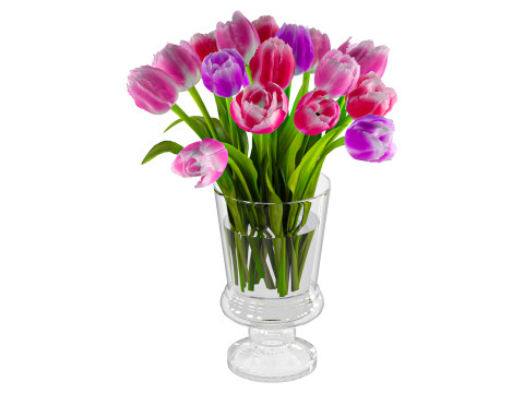 Vas Tulip Model 3D
