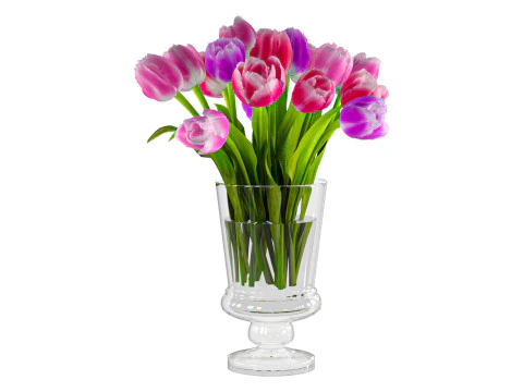 Tulips Vaze 3D Model