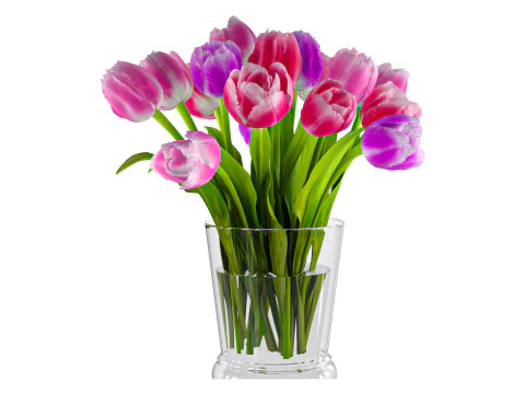 Tulips Vaze 3D Model