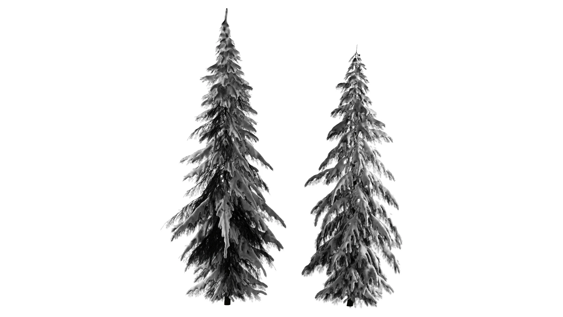 Winter Norway Spruce 3D Model .c4d .max .obj .3ds .fbx .stl .blend 