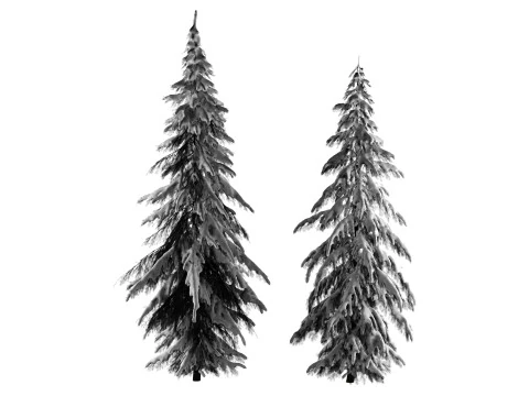 Zimowy świerk norweski Model 3D