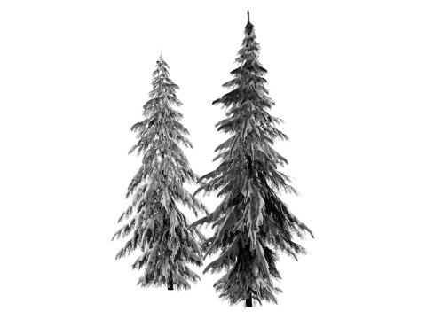 Зимняя ель европейская 3D Модель