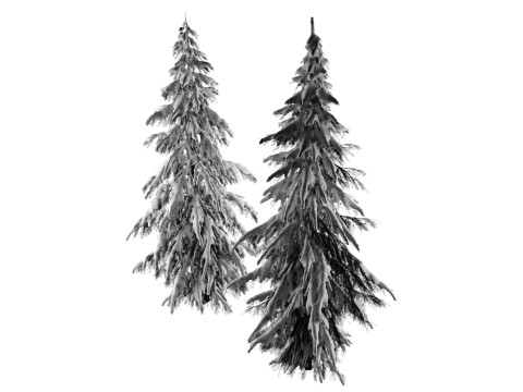 Зимняя ель европейская 3D Модель