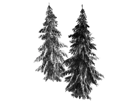 Winter Norway Spruce 3D Model