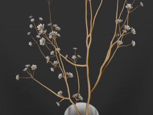 decorative set 3 3D Модель