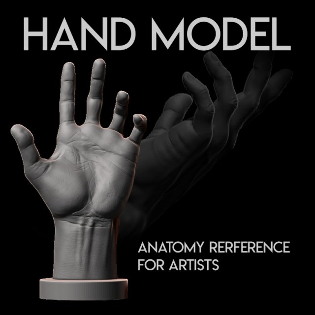 hand model for artists reference 3D 프린트 모델 .c4d .max .obj .3ds .fbx .stl .blend 