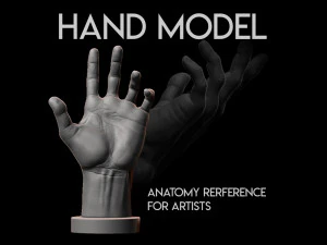modelo de mão para referência de artistas Modelo de Impressão 3D