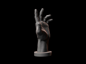 hand model for artists reference 3D 프린트 모델