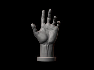 hand model for artists reference 3D 프린트 모델