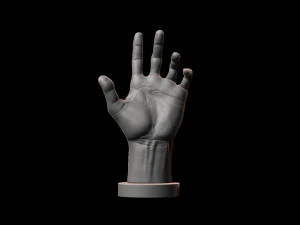 hand model for artists reference 3D Print Model