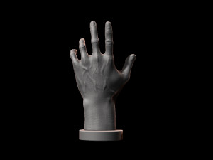 hand model for artists reference 3D 프린트 모델