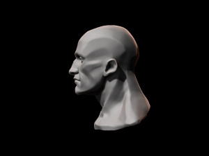anatomy head study for artist reference 3D Принт Модель