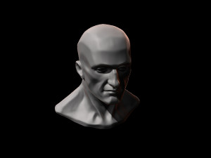 anatomy head study for artist reference 3D Принт Модель