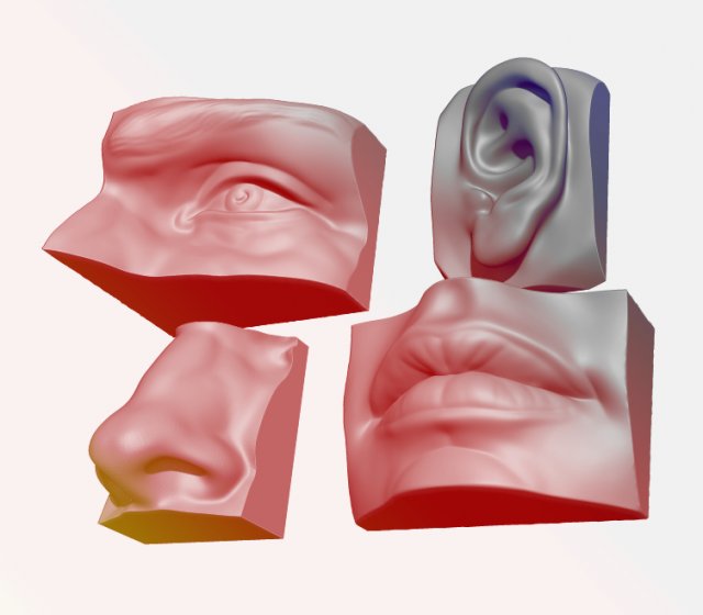 anatomy pack - face parts 3D Принт Модель .c4d .max .obj .3ds .fbx .stl .blend 