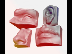 anatomy pack - face parts 3D Print Model