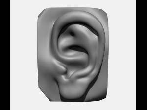 anatomy pack - face parts 3D Принт Модель