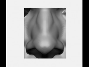 anatomy pack - face parts 3D Принт Модель