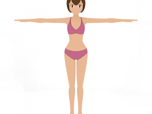 Female - Type 1 Model 3D