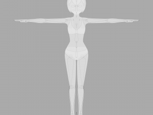 Female - Type 1 Model 3D